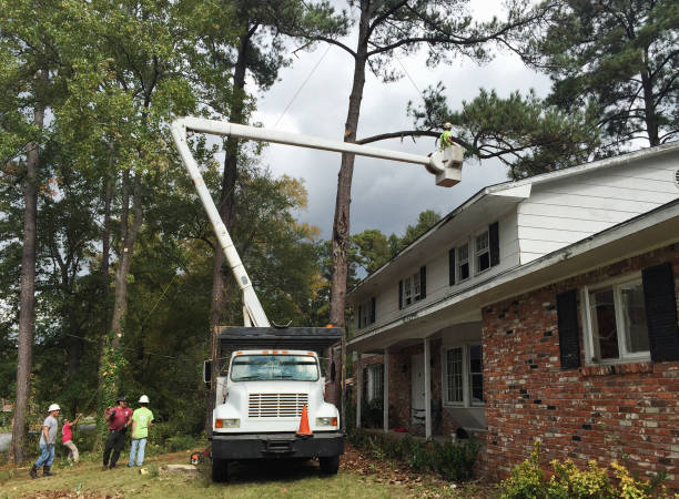 Best Tree Health Inspection  in Wickerham Manor Fisher, PA